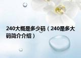 240大概是多少码（240是多大码简介介绍）
