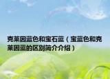 克莱因蓝色和宝石蓝（宝蓝色和克莱因蓝的区别简介介绍）
