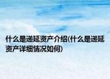 什么是递延资产介绍(什么是递延资产详细情况如何)