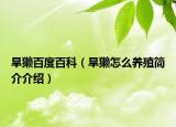 旱獭百度百科（旱獭怎么养殖简介介绍）