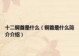 十二铜首是什么（铜首是什么简介介绍）