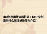 dnf剑宗用什么属性好（DNF女剑宗堆什么属性好堆简介介绍）