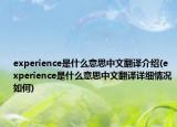 experience是什么意思中文翻译介绍(experience是什么意思中文翻译详细情况如何)