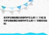 宝可梦漆黑的魅影低极钧杆怎么用\