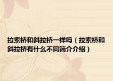 拉索桥和斜拉桥一样吗（拉索桥和斜拉桥有什么不同简介介绍）