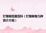 灯笼椒百度百科（灯笼椒有几种简介介绍）