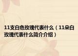 11支白色玫瑰代表什么（11朵白玫瑰代表什么简介介绍）
