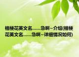 桔梗花英文名......急啊~介绍(桔梗花英文名......急啊~详细情况如何)