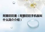 阿里旺旺是（阿里旺旺手机版叫什么简介介绍）