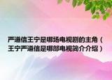 严道信王宁是哪场电视剧的主角（王宁严道信是哪部电视简介介绍）