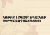 九级职员和十级职员哪个好介绍(九级职员和十级职员哪个好详细情况如何)