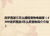造梦西游三怎么捕捉宠物电脑版（4399造梦西游3怎么抓宠物简介介绍）