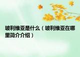 玻利维亚是什么（玻利维亚在哪里简介介绍）