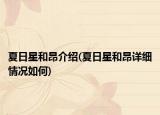 夏日星和昂介绍(夏日星和昂详细情况如何)