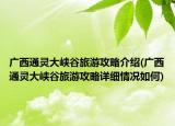 广西通灵大峡谷旅游攻略介绍(广西通灵大峡谷旅游攻略详细情况如何)