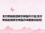 支付吧蚂蚁借呗怎样强开介绍(支付吧蚂蚁借呗怎样强开详细情况如何)