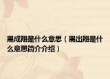 黑成翔是什么意思（黑出翔是什么意思简介介绍）