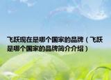 飞跃现在是哪个国家的品牌（飞跃是哪个国家的品牌简介介绍）