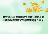 野火烧不尽 春风吹又生是什么意思（野火烧不尽春风吹又生的意思简介介绍）