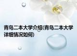 青岛二本大学介绍(青岛二本大学详细情况如何)
