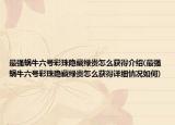 最强蜗牛六号彩珠隐藏绿贵怎么获得介绍(最强蜗牛六号彩珠隐藏绿贵怎么获得详细情况如何)
