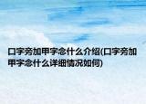 口字旁加甲字念什么介绍(口字旁加甲字念什么详细情况如何)