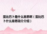 歪比巴卜是什么意思啊（歪比巴卜什么意思简介介绍）