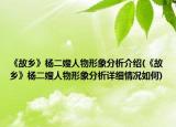 《故乡》杨二嫂人物形象分析介绍(《故乡》杨二嫂人物形象分析详细情况如何)