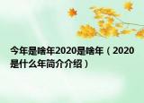 今年是啥年2020是啥年（2020是什么年简介介绍）