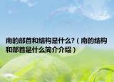 南的部首和结构是什么?（南的结构和部首是什么简介介绍）