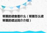 罂粟的读音是什么（罂粟怎么读 罂粟的读法简介介绍）