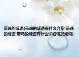 带鸡的成语(带鸡的成语有什么介绍 带鸡的成语 带鸡的成语有什么详细情况如何)