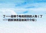 丁一一是哪个电视剧里的人物（丁一一的扮演者是谁简介介绍）