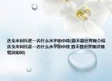 迭戈米利托是一名什么水平的中锋(算不算世界级介绍 迭戈米利托是一名什么水平的中锋 算不算世界级详细情况如何)
