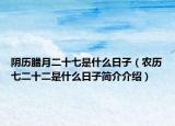 阴历腊月二十七是什么日子（农历七二十二是什么日子简介介绍）