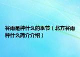 谷雨是种什么的季节（北方谷雨种什么简介介绍）