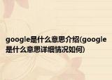 google是什么意思介绍(google是什么意思详细情况如何)