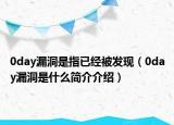 0day漏洞是指已经被发现（0day漏洞是什么简介介绍）
