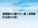 春雨像什么像什么一般（春雨像什么简介介绍）