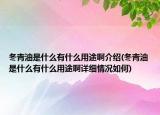 冬青油是什么有什么用途啊介绍(冬青油是什么有什么用途啊详细情况如何)