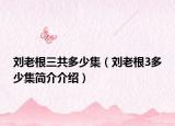 刘老根三共多少集（刘老根3多少集简介介绍）