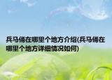 兵马俑在哪里个地方介绍(兵马俑在哪里个地方详细情况如何)