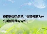 查理普斯的眉毛（查理普斯为什么叫断眉简介介绍）