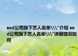 sod公司旗下艺人名单\