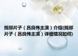 找部片子（吕良伟主演）介绍(找部片子（吕良伟主演）详细情况如何)