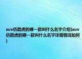 suv仿路虎的哪一款叫什么名字介绍(suv仿路虎的哪一款叫什么名字详细情况如何)
