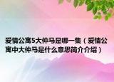 爱情公寓5大仲马是哪一集（爱情公寓中大仲马是什么意思简介介绍）