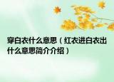 穿白衣什么意思（红衣进白衣出什么意思简介介绍）