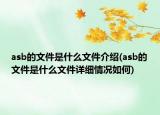 asb的文件是什么文件介绍(asb的文件是什么文件详细情况如何)