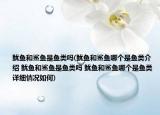 鱿鱼和鲨鱼是鱼类吗(鱿鱼和鲨鱼哪个是鱼类介绍 鱿鱼和鲨鱼是鱼类吗 鱿鱼和鲨鱼哪个是鱼类详细情况如何)
